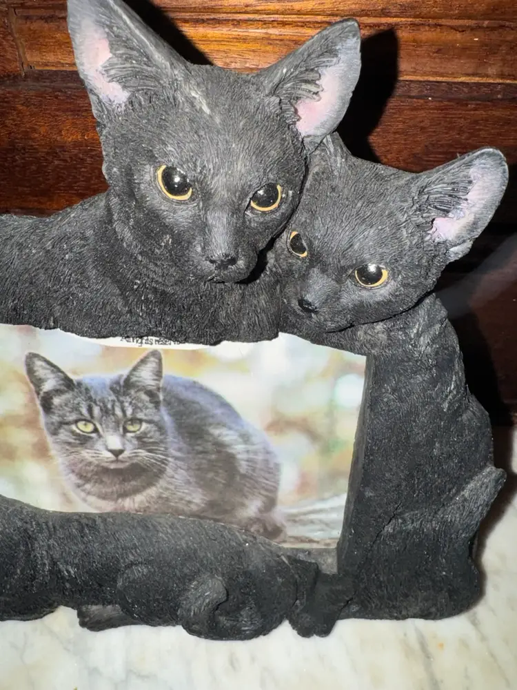 Black Cat Resin Frame 3x5