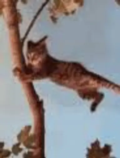 Hurricane Sale - Get it Now Before A Storm Takes It To The Gulf