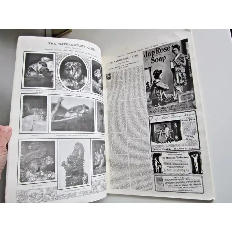 Woman's Home Companion October 1903 Antique Magazine Fashion Family Life Adverts