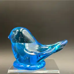 #01 Blue Bird of happiness