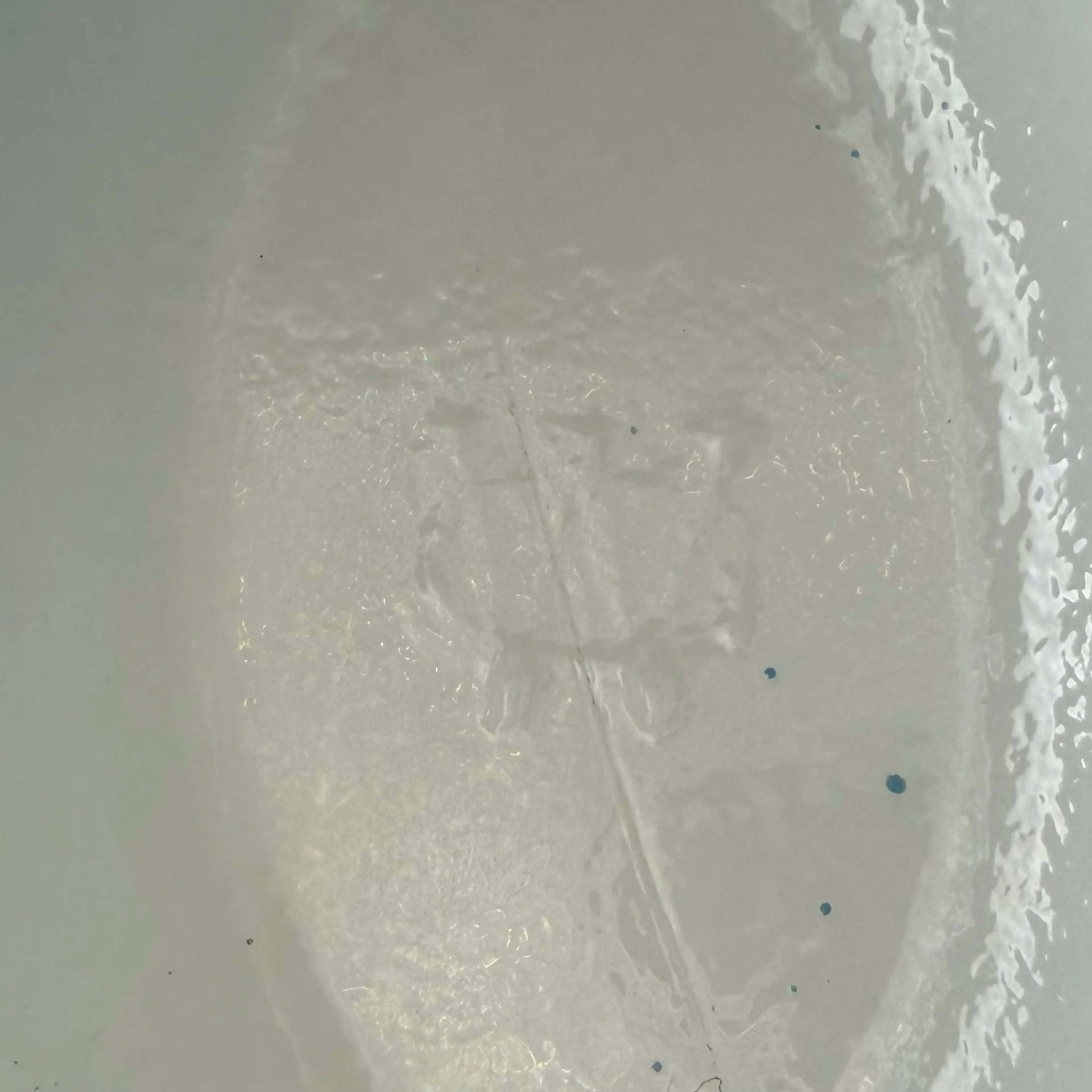Image 3 of 14