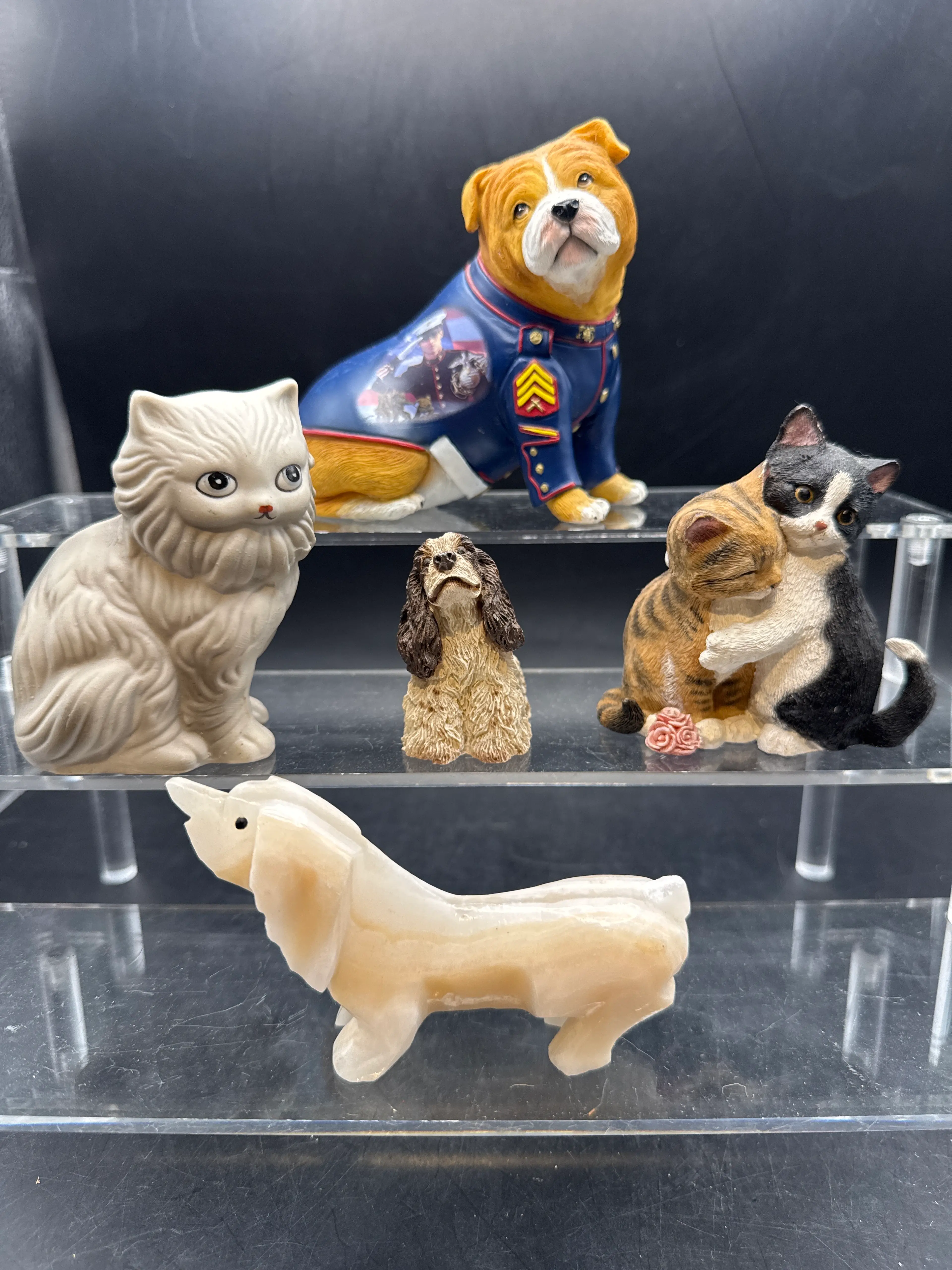 It’s Raining Cats & Dogs🐱🐶Pre-loading…