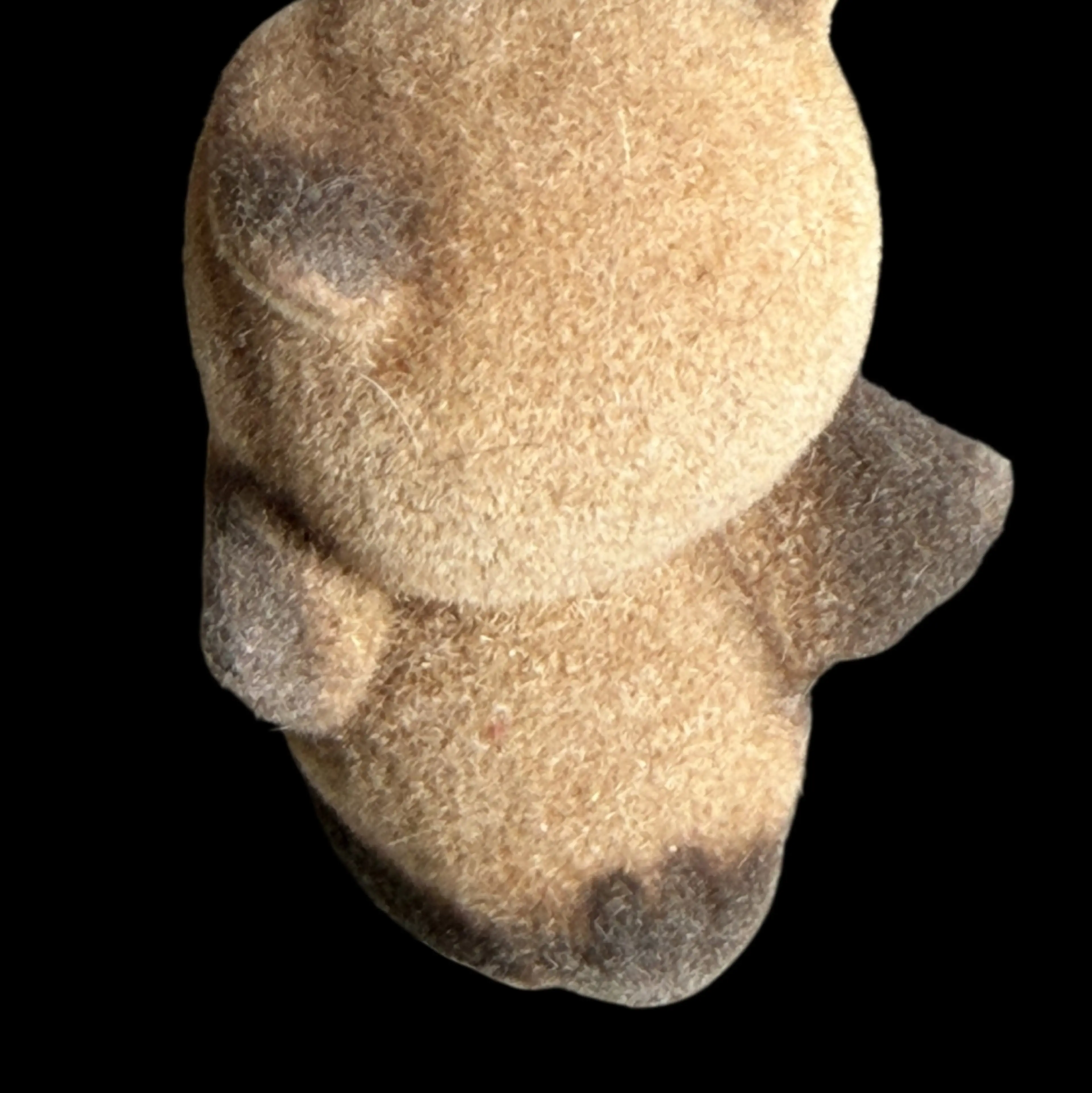 Image 2 of 3