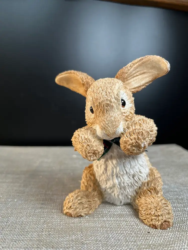 Bobtails Paw Prints-Very Realistic Textured Tan & White Bunny