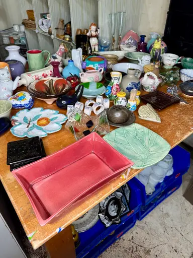 You Pick- $8 Starts! w/Koalatea 🐨