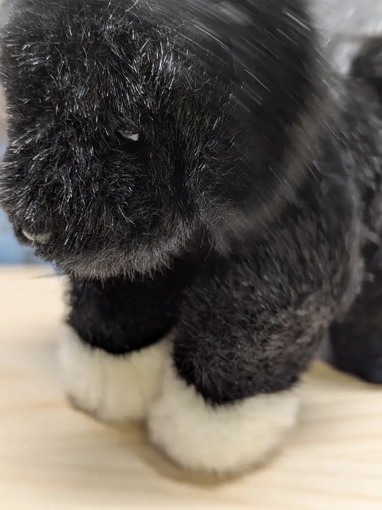 Mary Meyer Plush Puppy Dog Black White paws Stuffed Animal Toy 1998 EUC Rare Vtg