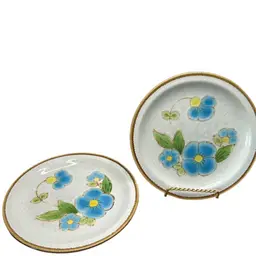 Set Of Two Vintage China Stoneybrook Blue Dawn Japan 7 1/2” Diameter Salad Plates