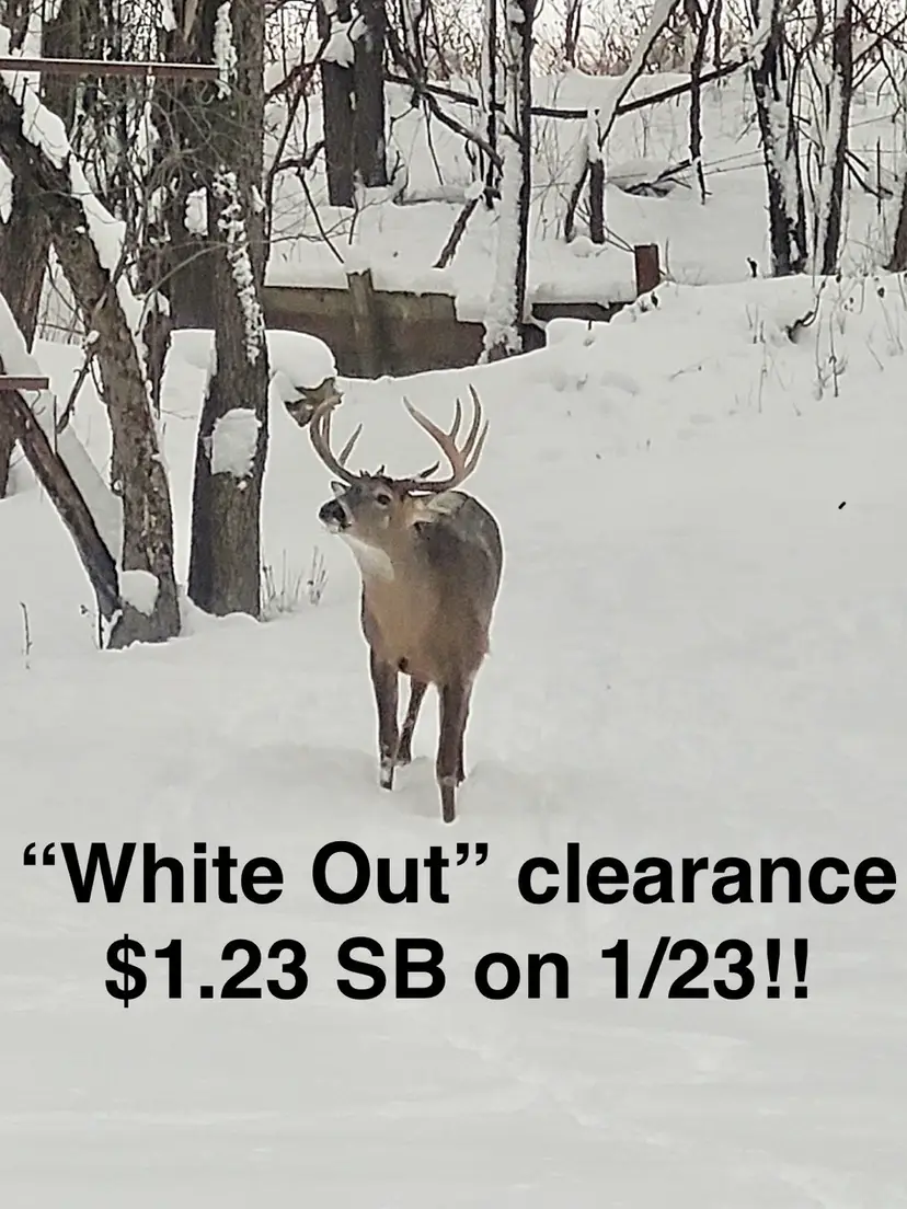 Livestream thumbnail