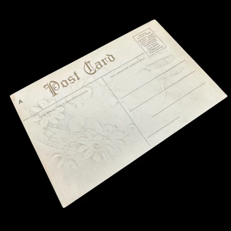 “To My Love” Lovely Ladies Winter Frocks And Vines Antique Valentine Postcard, Unmarked Unposted