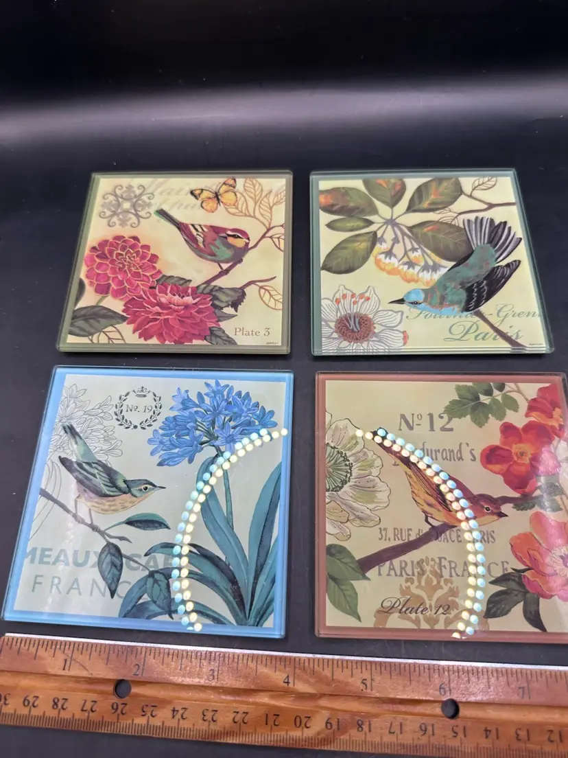 Pier 1 Imports Glass Coaster Set of 4 By J. Brinley Birds And Flowers Design