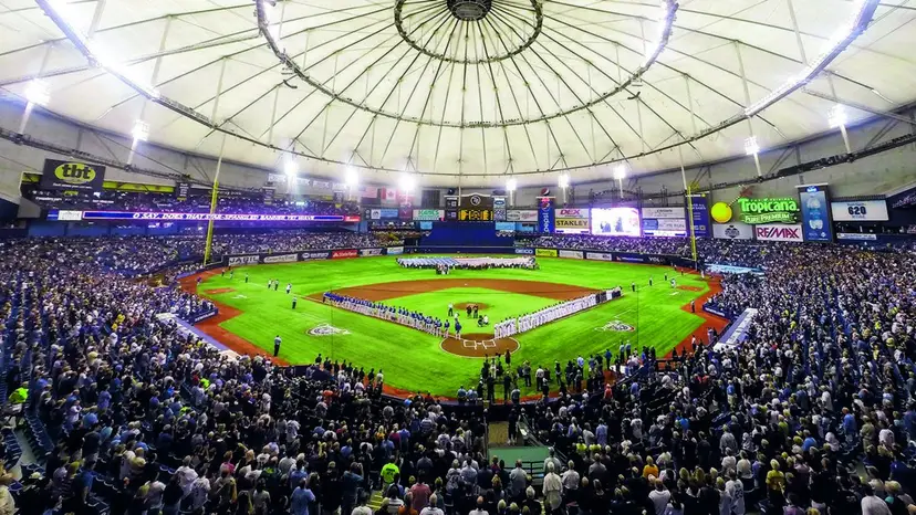 Tampa Bay Rays baseball card breaks and collector community