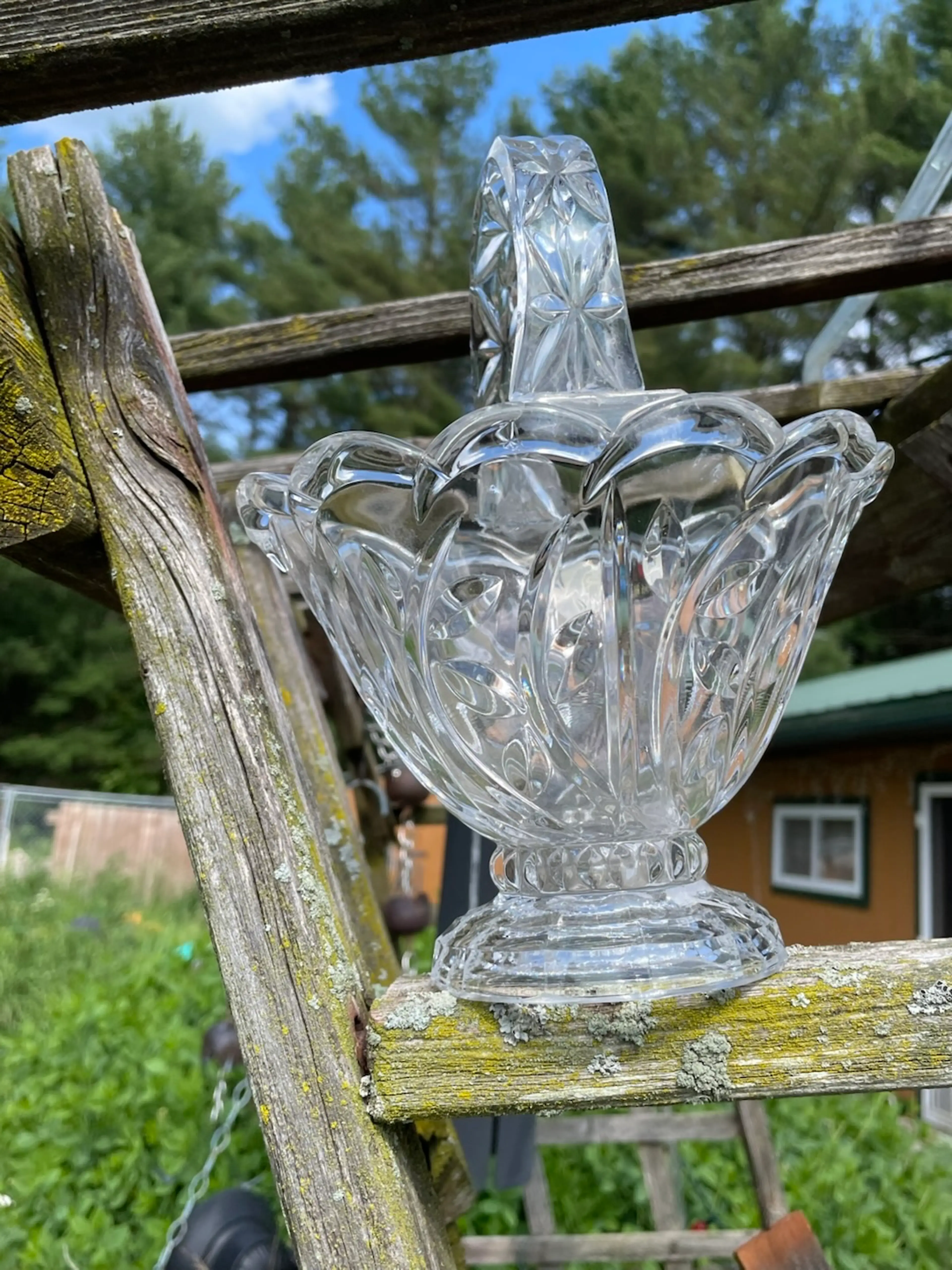 Image 3 of 11