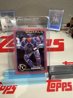 Freddy Fermin Pink 30/50