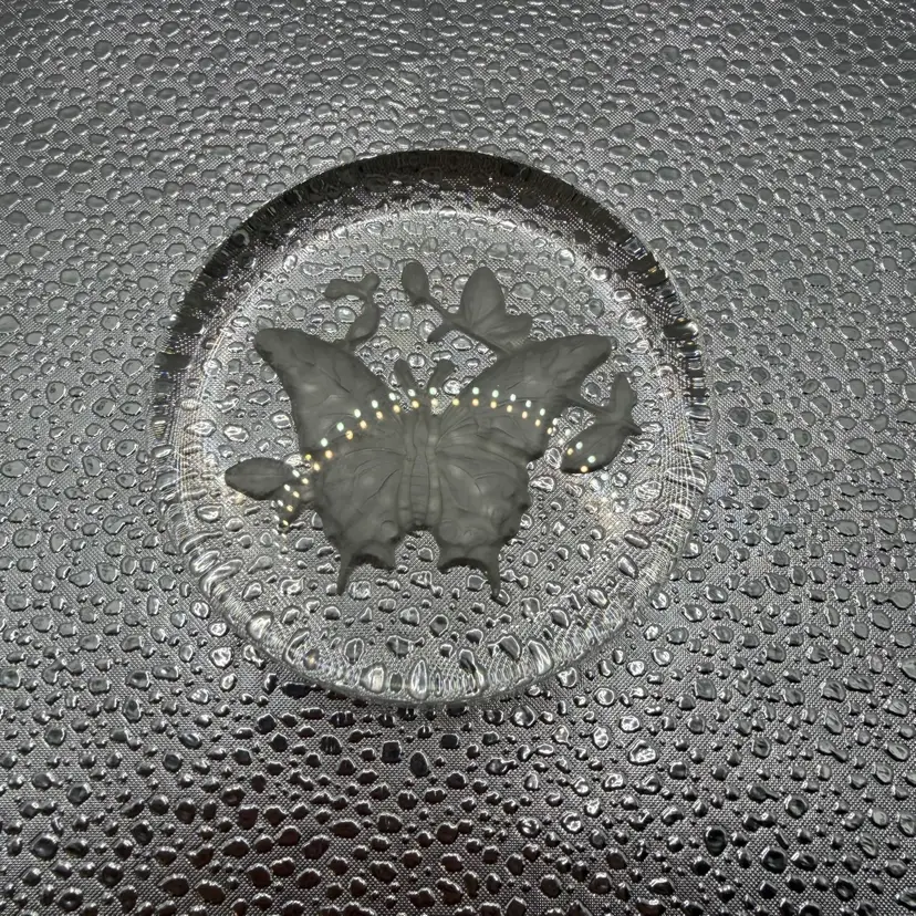 Lenox Flat Round Butterfly Paperweight