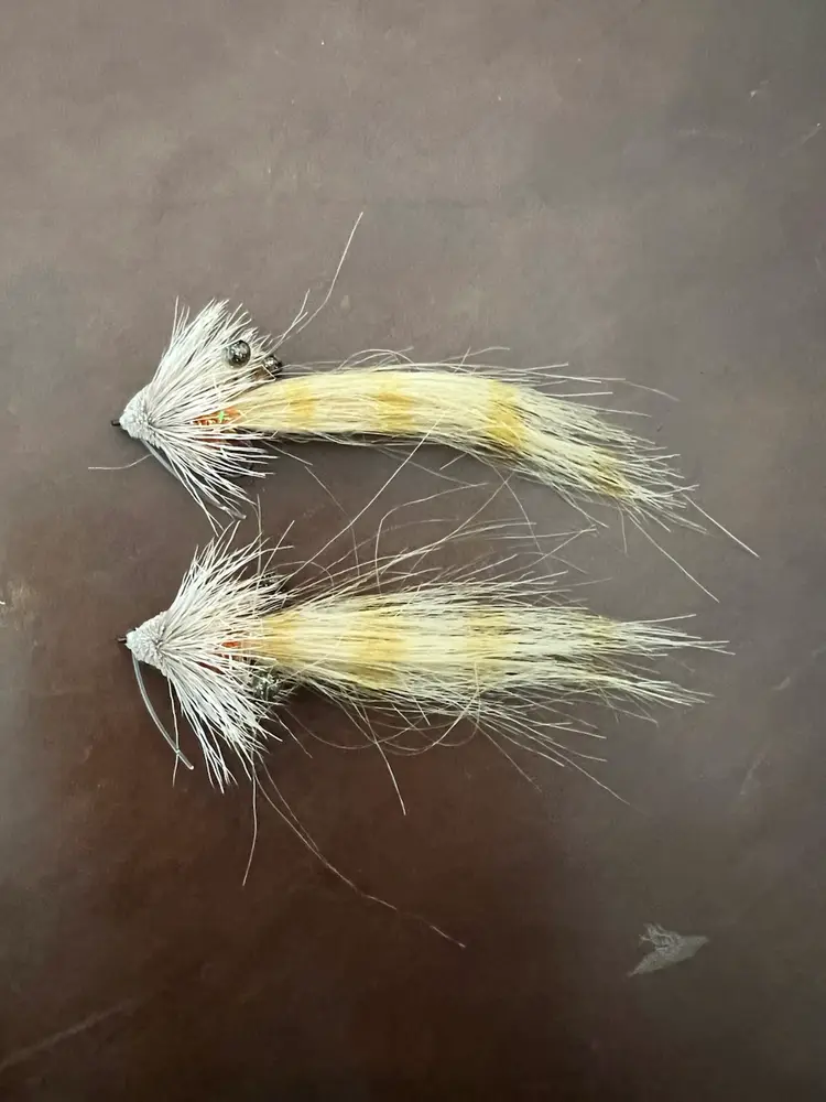 Gulf Saltwater Shrimp