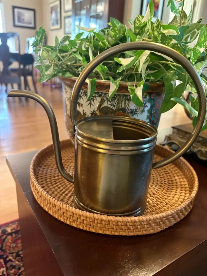 Hearth & Hand Magnolia 1L Accented Metal Watering Can‎ Brass Finish