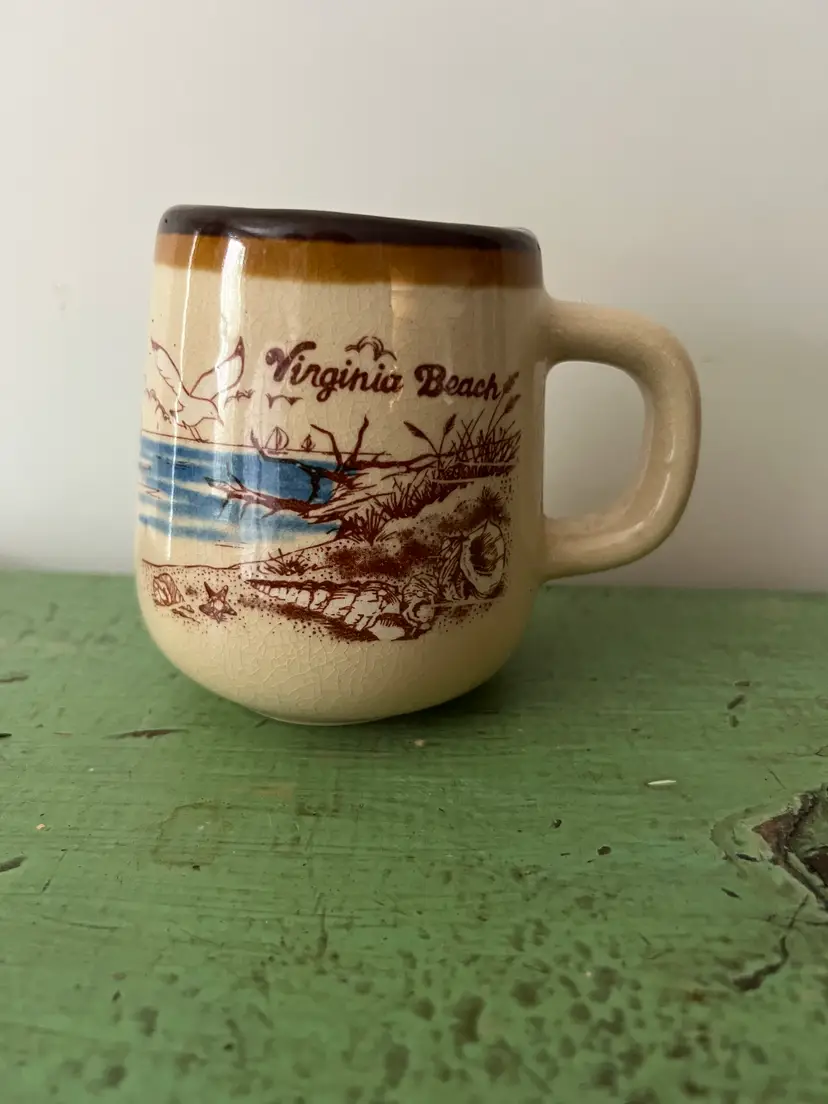 Vintage Virginia Beach Souvenir Coffee Mug. Seagull Ocean Specked Brown Ceramic 1970s