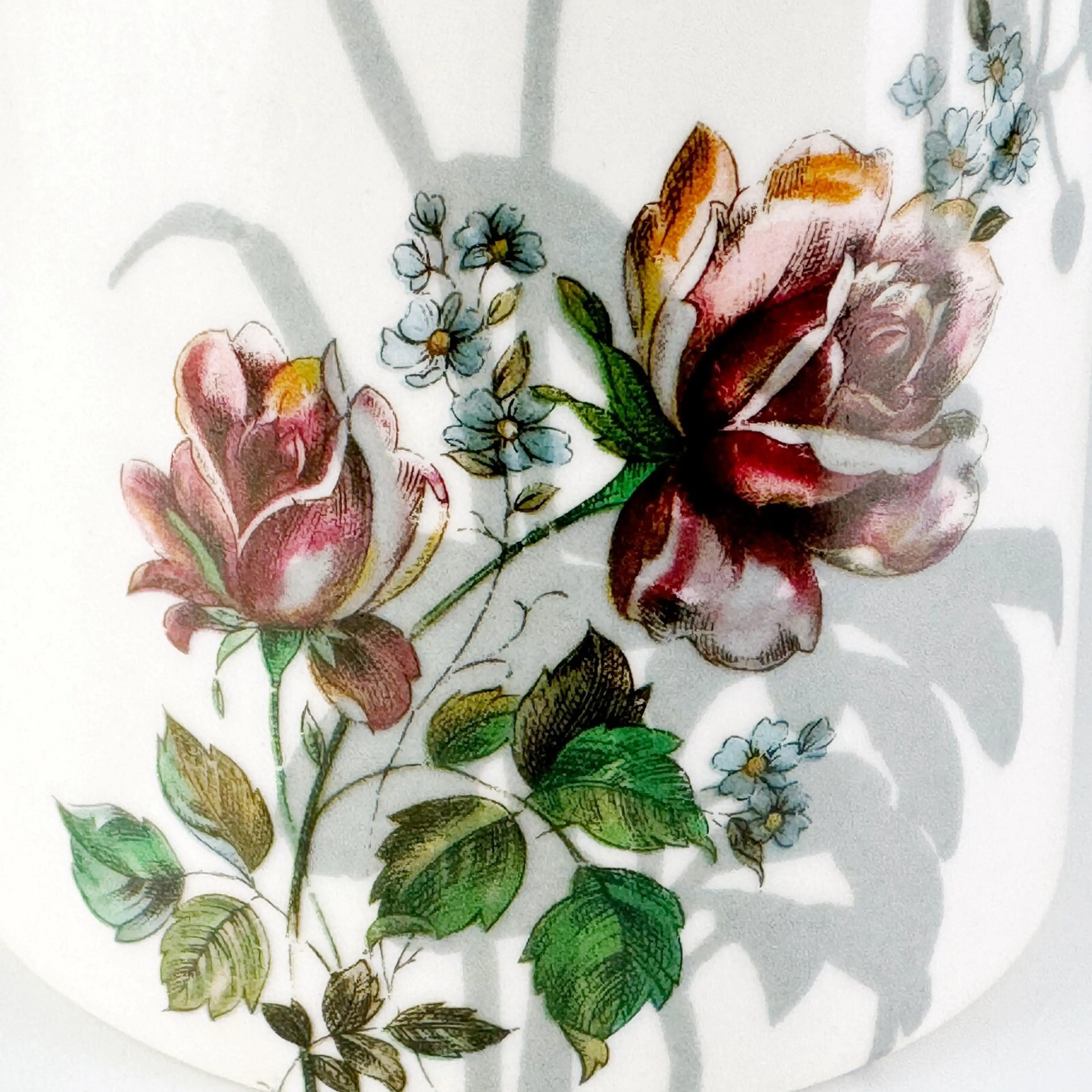 Image 4 of 12