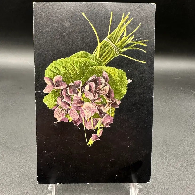 Antique Black Background Purple Floral Bouquet Postcard, Posted 1908
