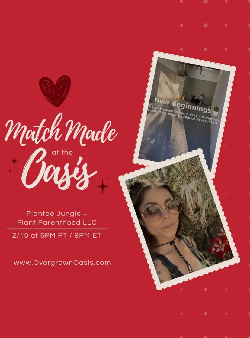 Livestream thumbnail