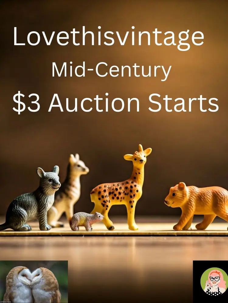 $3 Auction Starts 
