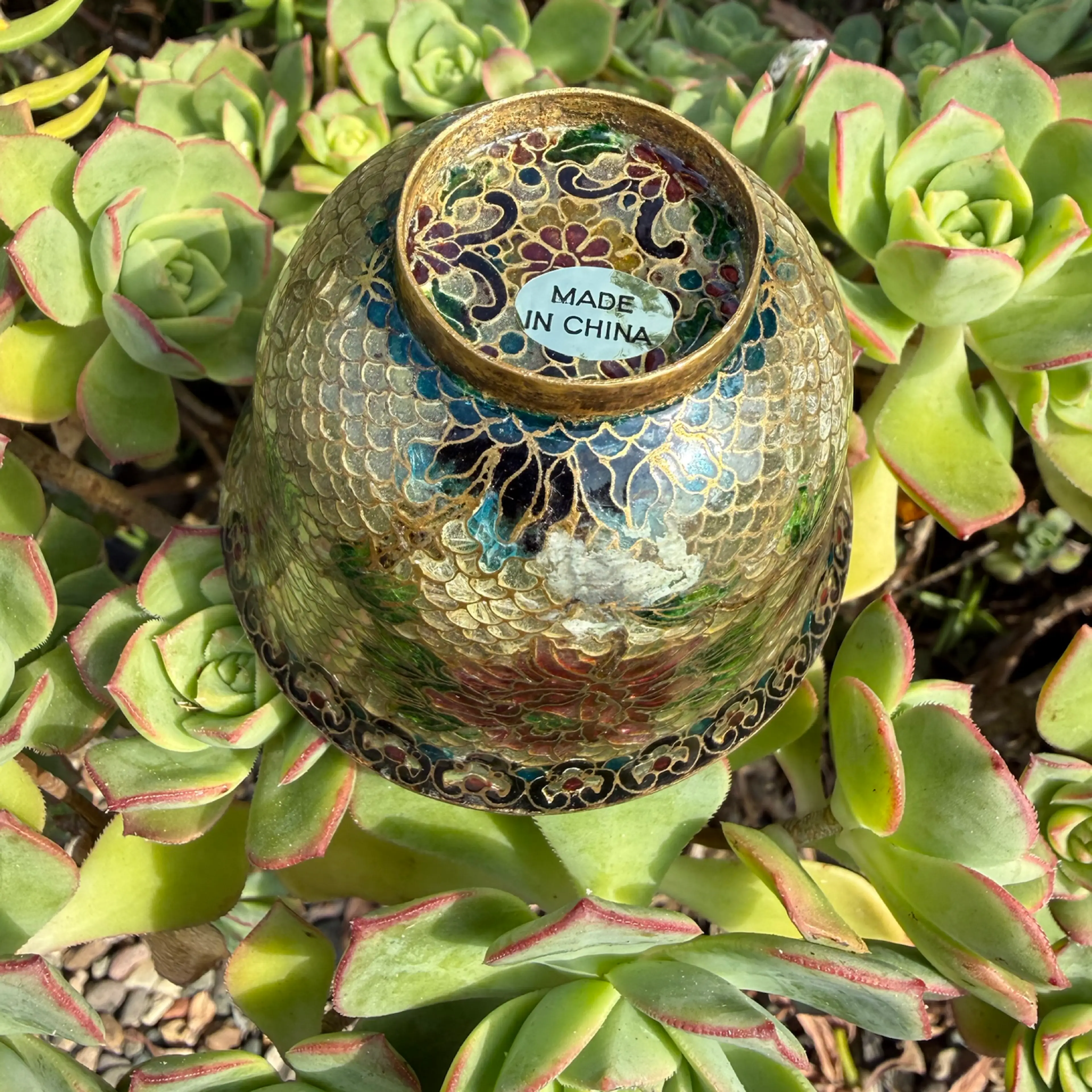 Image 4 of 5