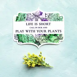 Play with Plants Sticker