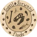 Fossil Forward Finds' Science and Sci Fi Marketplace