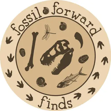 Fossil Forward Finds' Science and Sci Fi Marketplace
