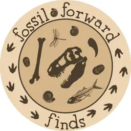 Fossil Forward Finds' Science and Sci Fi Marketplace