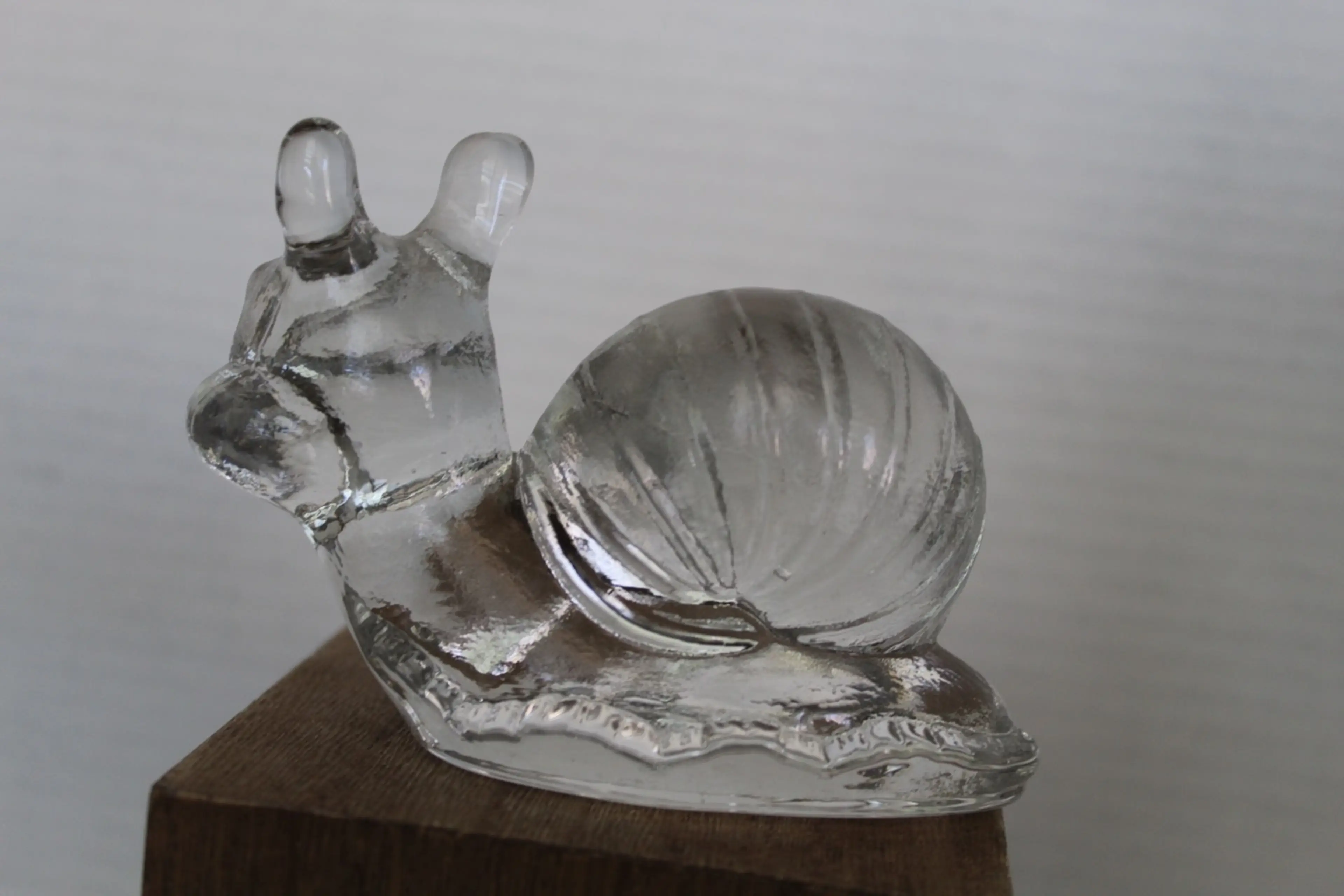 Image 5 of 8