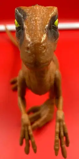 Monsters & Dinosaurs