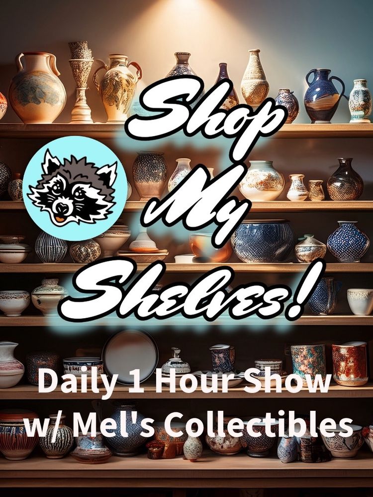 Shop My Shelves 1 Hour 30 Day Challenge!