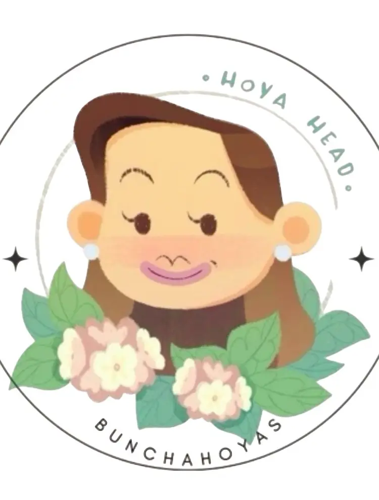 First live + Hoyas > Therapy 🛋️🌿