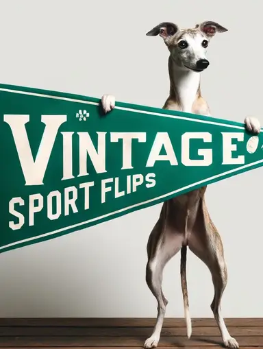 Vintage Posters - Wide Variety