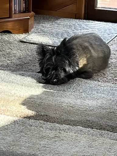 Impromptu! Shop My Shelves