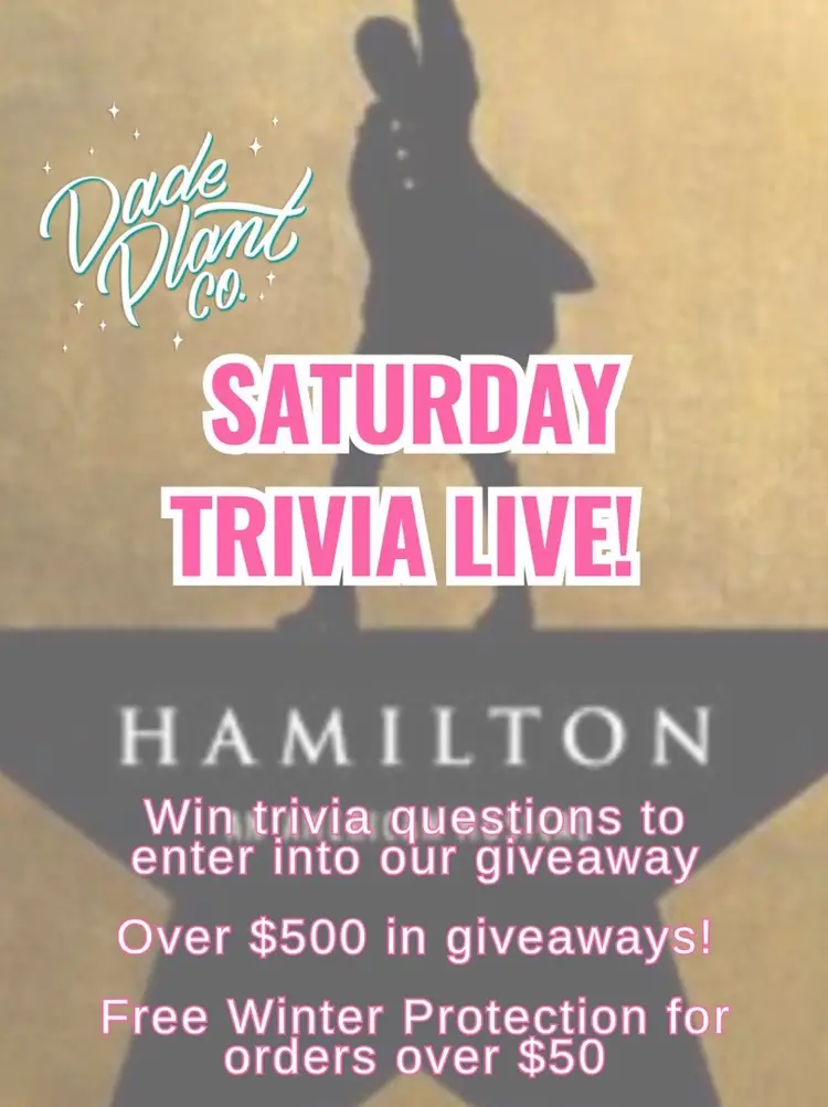 Hamilton Trivia Night! 