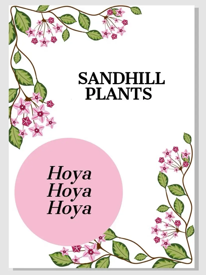 Livestream thumbnail