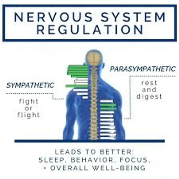 Nervous System Regulation Consultation