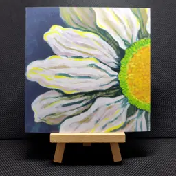 Art Prints – 'Leucanthemum vulgare'