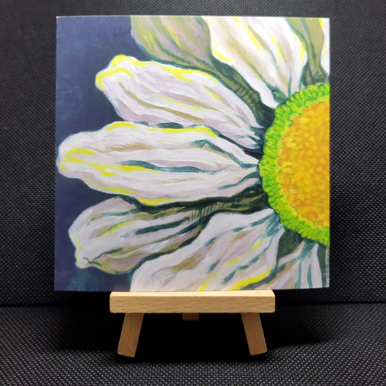 Art Prints – 'Leucanthemum vulgare'