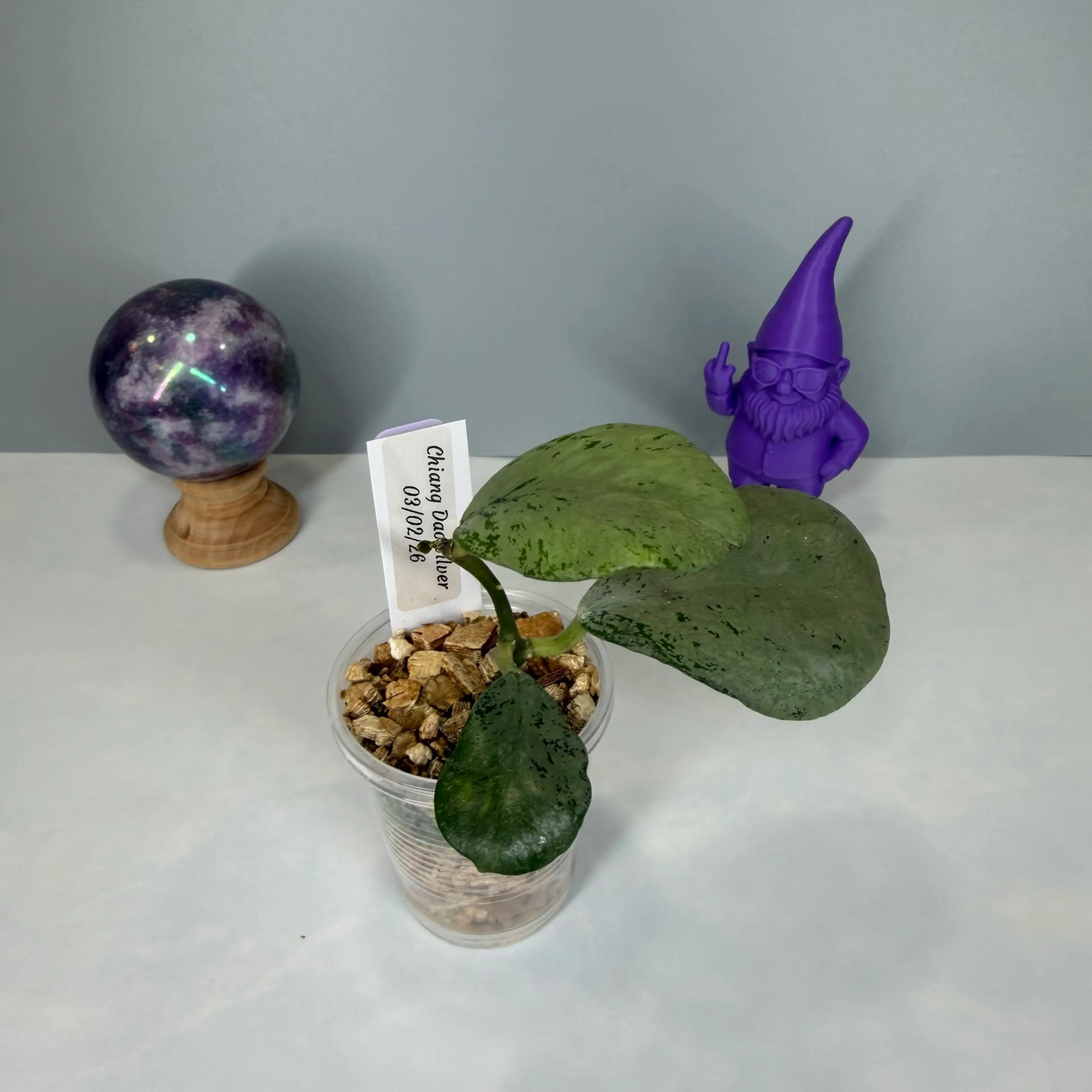 Image 1 of 3