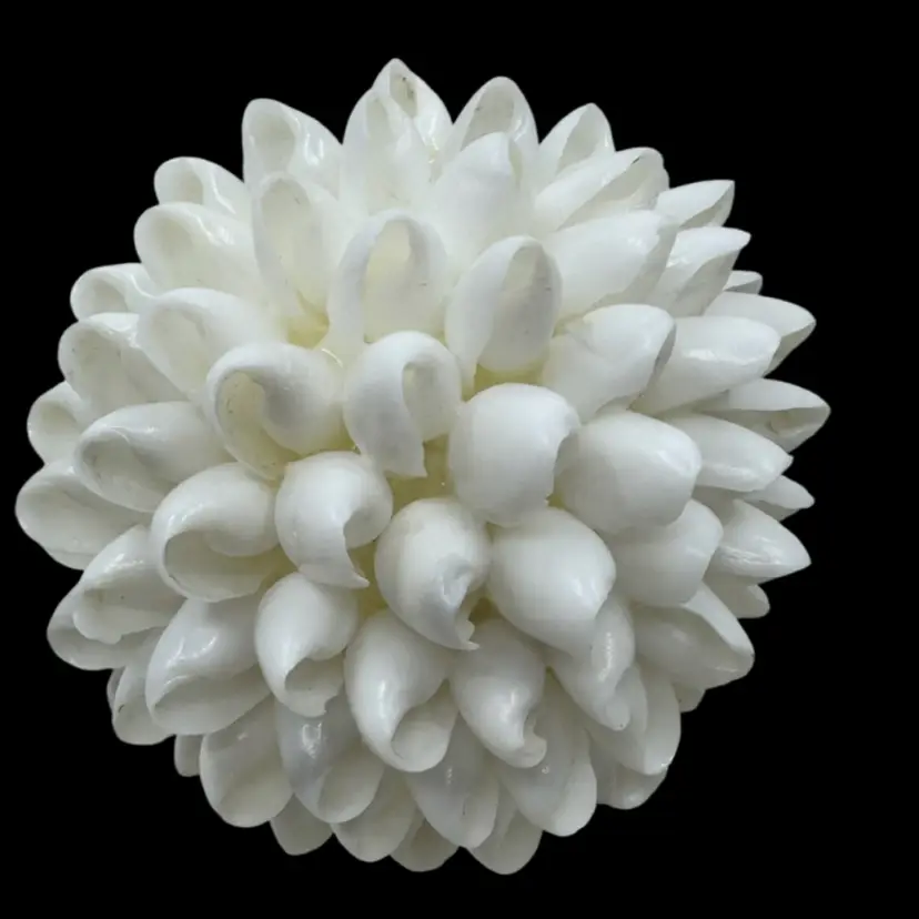 Decorative Shell Ball