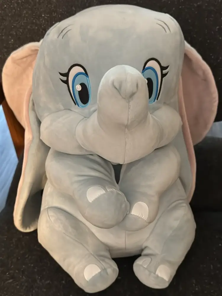 Funko Pops , Band Tees , Posters , Loungflys Disney, Dumbo,surprises 