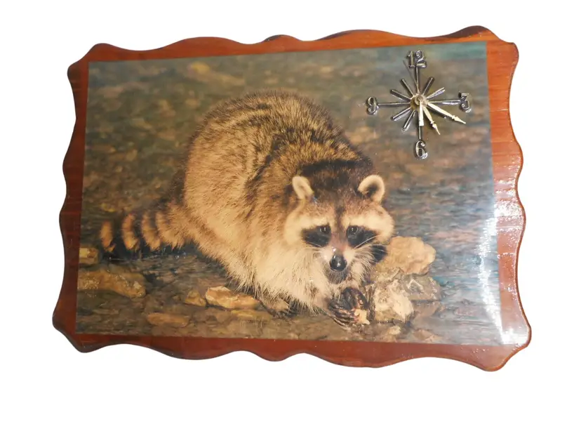 Vintage 1970s Lacquered Wood Slab Racoon Clock Hanging Wall Estate Man Cave Decor