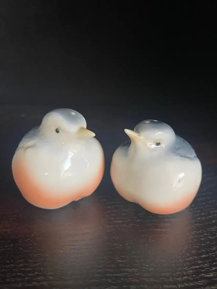 Sweet Little Baby Bird Salt And Pepper Shakers. Glossy