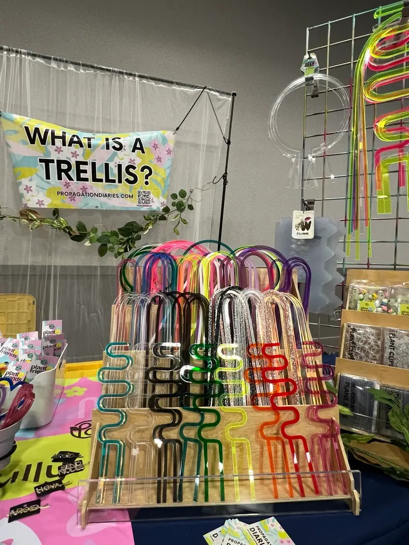 Livestream thumbnail