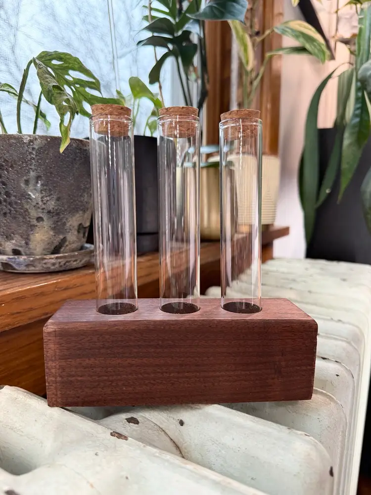 0015 Wooden Propagation Station - Black Walnut 6”
