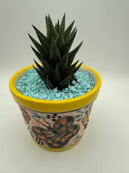 Talavera Butterfly Planter 5” With Zebra Succulent 3”