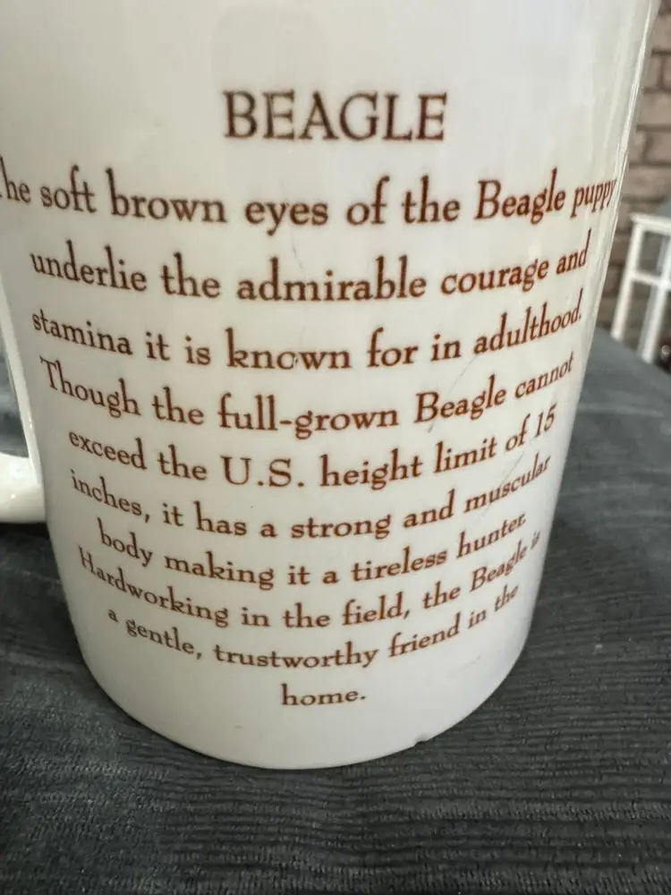 Cute Beagle Coffee Mug